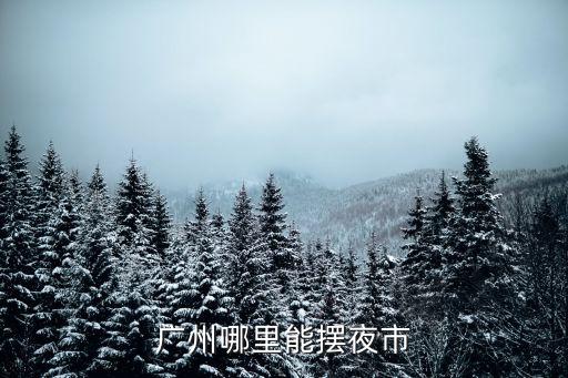 廣州哪里能擺夜市