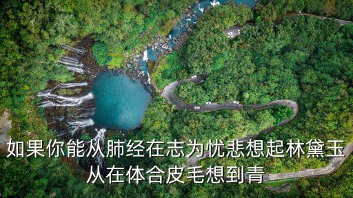 如果你能從肺經在志為憂悲想起林黛玉從在體合皮毛想到青