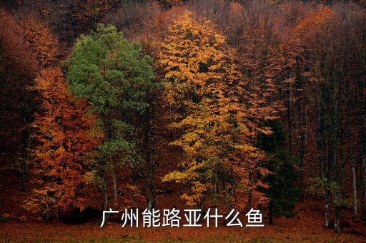 廣州珠江路亞釣魚，廣州珠江能路亞嗎能路到魚嗎水質不怕還有其他路點嗎還是有