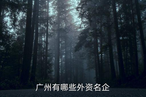 廣州有哪些外資名企