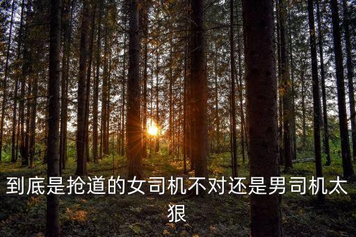 到底是搶道的女司機不對還是男司機太狠