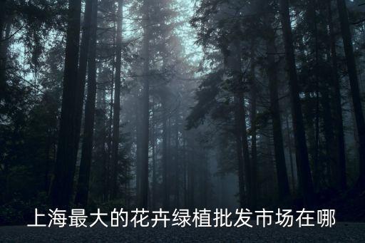 上海最大的花卉綠植批發市場在哪