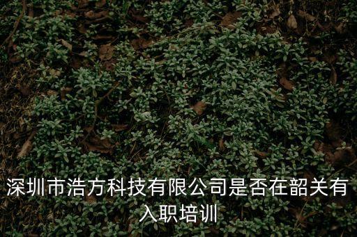 深圳市浩方科技有限公司是否在韶關有入職培訓