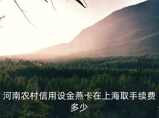 上海市郊野鄉(xiāng)村風(fēng)貌規(guī)設(shè)計劃導(dǎo)則，河南農(nóng)村信用設(shè)金燕卡在上海取手續(xù)費多少