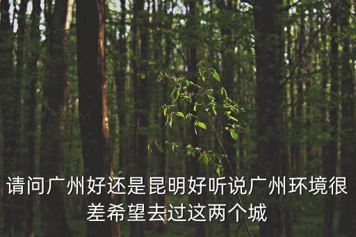 請問廣州好還是昆明好聽說廣州環境很差希望去過這兩個城