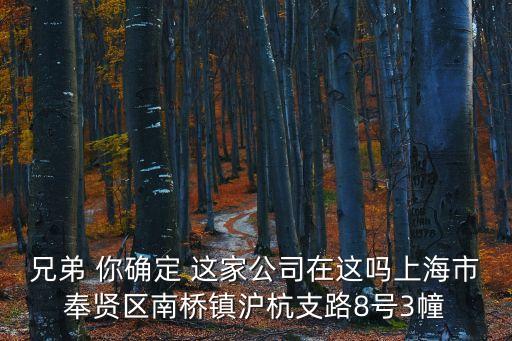 兄弟 你確定 這家公司在這嗎上海市奉賢區(qū)南橋鎮(zhèn)滬杭支路8號3幢
