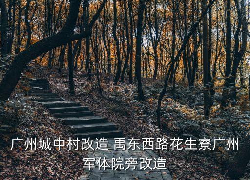 廣州城中村改造 禹東西路花生寮廣州軍體院旁改造