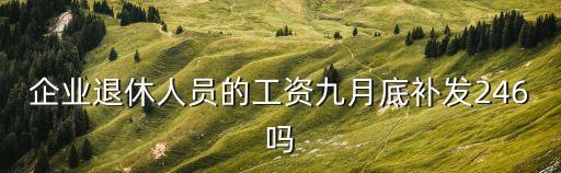 企業退休人員的工資九月底補發246嗎