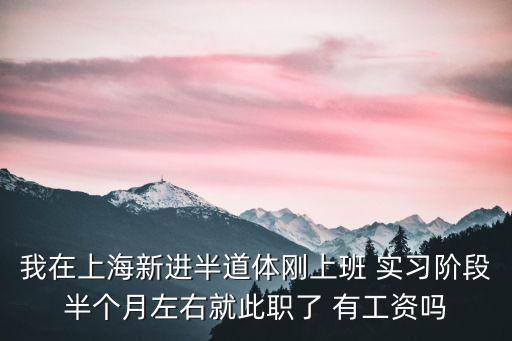 我在上海新進(jìn)半道體剛上班 實(shí)習(xí)階段半個(gè)月左右就此職了 有工資嗎