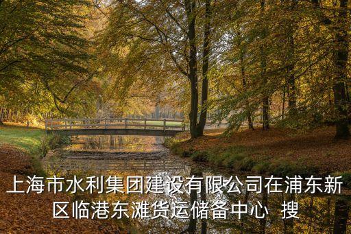 上海市水利集團建設有限公司在浦東新區(qū)臨港東灘貨運儲備中心  搜