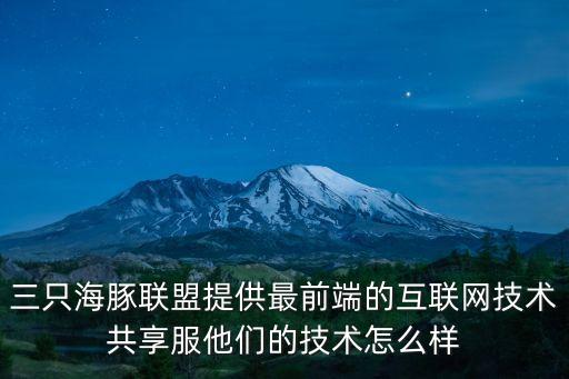 三只海豚聯盟提供最前端的互聯網技術共享服他們的技術怎么樣