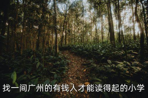 找一間廣州的有錢人才能讀得起的小學(xué)