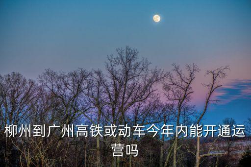 柳州去往廣州高鐵會封嗎，柳州到廣州高鐵