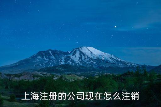 上海注冊的公司現(xiàn)在怎么注銷