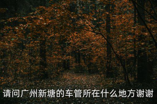 請問廣州新塘的車管所在什么地方謝謝