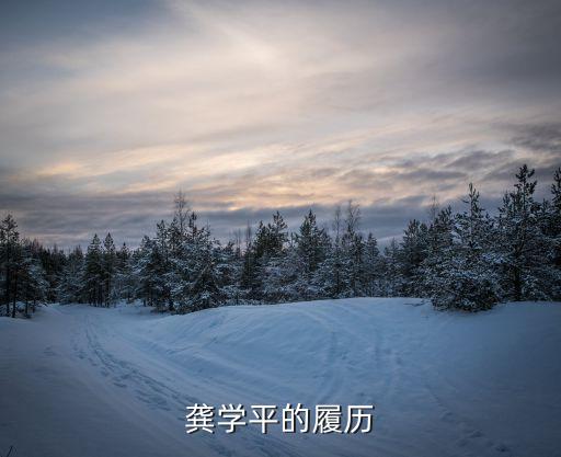 龔學(xué)平的履歷