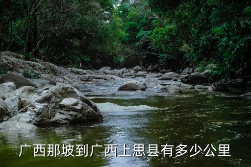 那坡到廣州多少公里，那坡縣有車到廣州