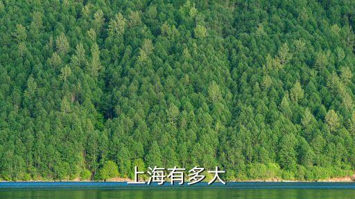 上海市的總面積大約，上海有多大