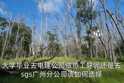 大學畢業去電建公司做熱工好呢還是去sgs廣州分公司該如何選擇