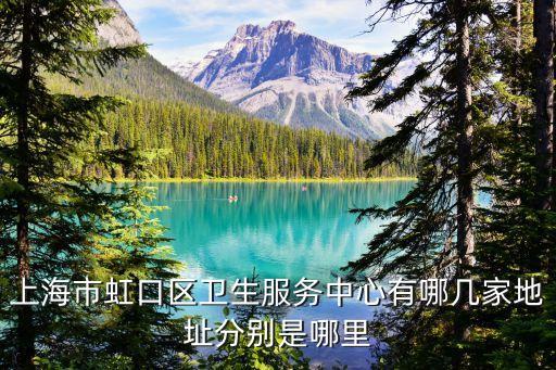 上海市虹口區精衛中心，上海市虹口區是否有精神衛生中心有的話請把該醫院的地址留下謝謝