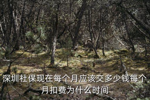 深圳社保為何只有2020一月，深圳社保現在每個月應該交多少錢每個月扣費為什么時間