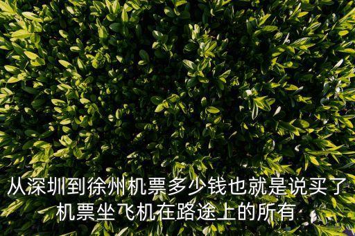 從深圳到徐州機(jī)票多少錢也就是說(shuō)買了機(jī)票坐飛機(jī)在路途上的所有