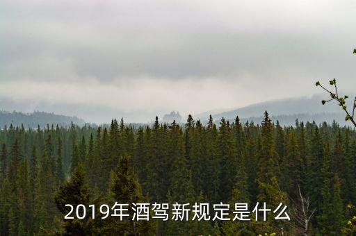 2019年酒駕新規定是什么