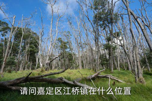 請問嘉定區江橋鎮在什么位置
