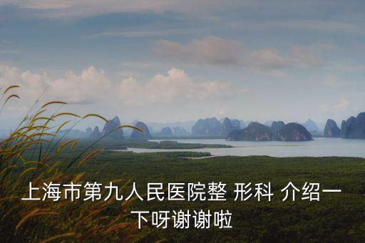 上海市第九人民醫(yī)院整 形科 介紹一下呀謝謝啦