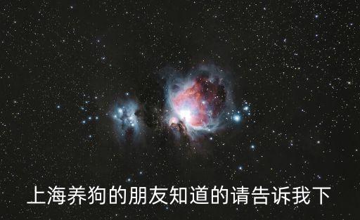 上海市文明養(yǎng)犬活動(dòng)，上海養(yǎng)狗的朋友知道的請(qǐng)告訴我下
