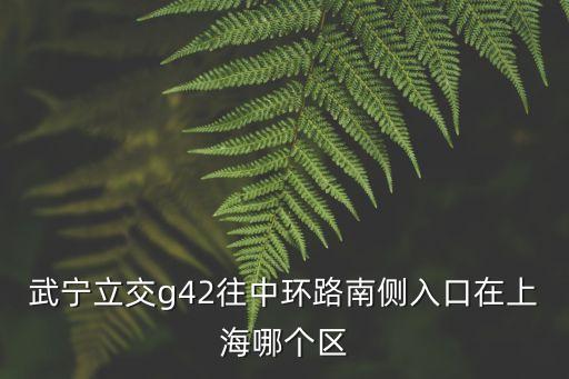 上海市武寧立交，武寧立交g42往中環路南側入口在上海哪個區