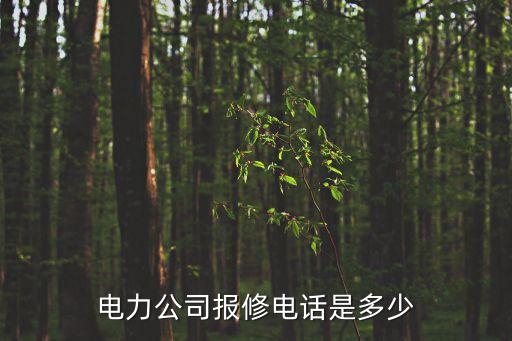 上海市崇明區(qū)新河鎮(zhèn)電力報修電話，那西洞庭什么快遞能送到啊