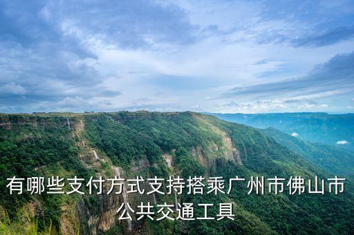 有哪些支付方式支持搭乘廣州市佛山市公共交通工具