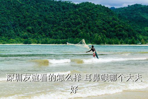 深圳哪家耳鼻喉哪家好精確友誼，想去看耳鼻喉問題深圳友誼哪個大夫好