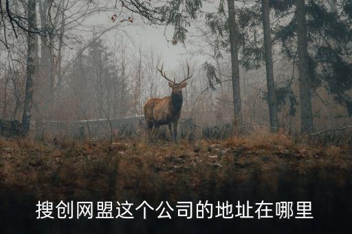 海寧 廣州搜創，搜創網盟這個公司的地址在哪里