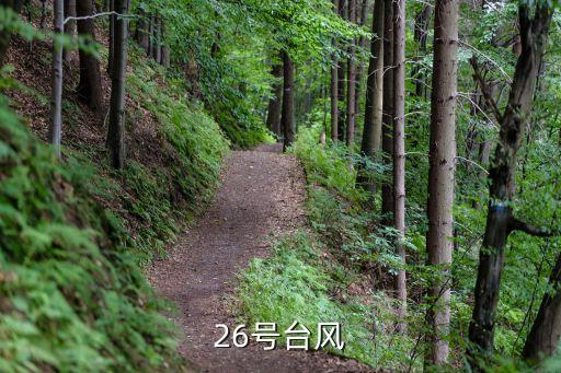 上海市臺風26日上班，今天上海臺風學生都不上學了快遞員還正常工作嗎