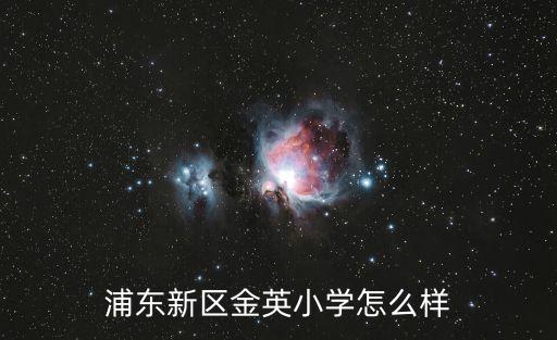 浦東新區(qū)金英小學(xué)怎么樣