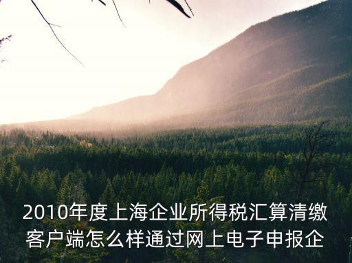 2010年度上海企業(yè)所得稅匯算清繳客戶端怎么樣通過網(wǎng)上電子申報(bào)企