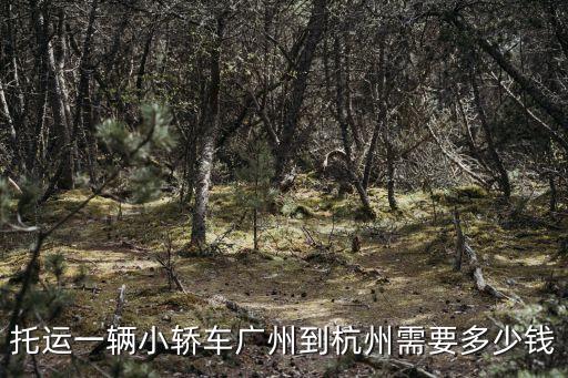 托運(yùn)一輛小轎車廣州到杭州需要多少錢