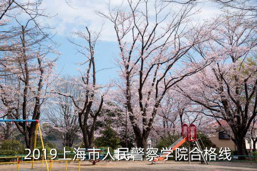 2019上海市人民警察學院合格線