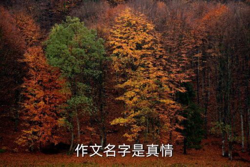 廣州塌陷救出，2019年12月1廣州塌方3人被救了嗎
