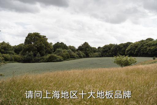 請問上海地區(qū)十大地板品牌