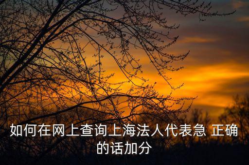 如何在網上查詢上海法人代表急 正確的話加分