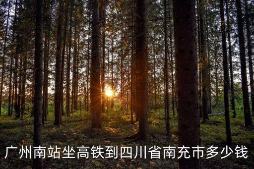 廣州南站坐高鐵到四川省南充市多少錢