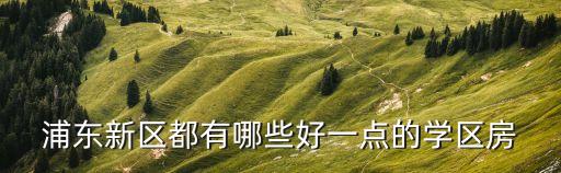 浦東新區(qū)都有哪些好一點的學區(qū)房