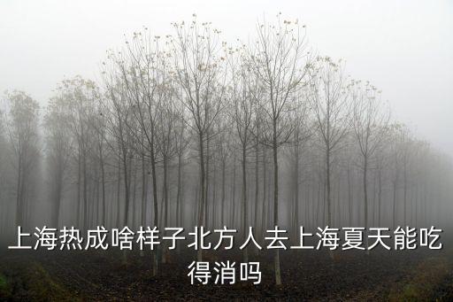上海熱成啥樣子北方人去上海夏天能吃得消嗎