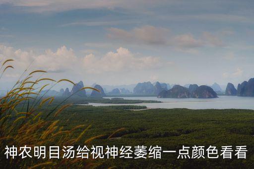 廣州祖傳明眸湯的圖片，神農明目湯給視神經萎縮一點顏色看看