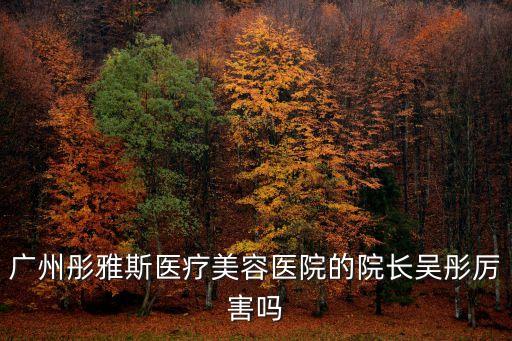 廣州彤雅斯醫療美容醫院的院長吳彤厲害嗎