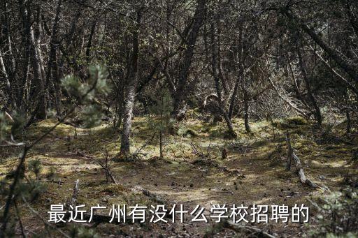 廣州科技職業技術大學2020招聘，最近廣州有沒什么學校招聘的