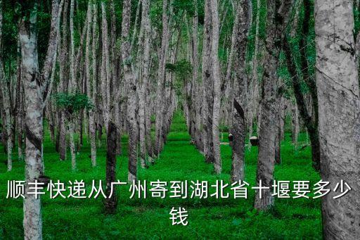 廣州到湖北順豐價格，順豐快遞從廣州寄到湖北省十堰要多少錢